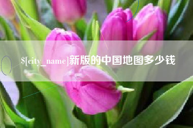泸州新版的中国地图多少钱