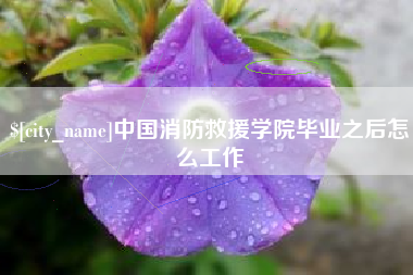 泸州中国消防救援学院毕业之后怎么工作