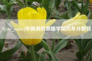 泸州中国消防救援学院历年分数线