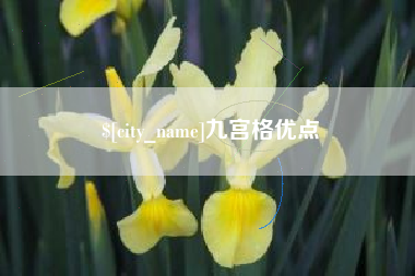 泸州九宫格优点