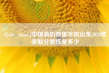 泸州中国消防救援学院山东2020年录取分数线是多少