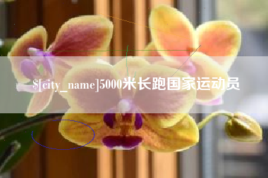 泸州5000米长跑国家运动员