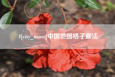 泸州中国地图格子画法