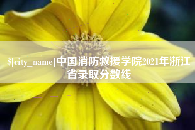 泸州中国消防救援学院2021年浙江省录取分数线