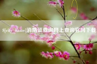泸州消防证查询网上查询官网下载