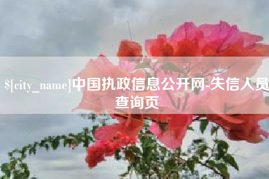 泸州中国执政信息公开网-失信人员查询页
