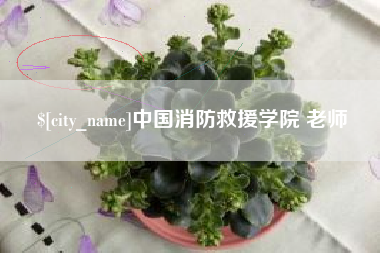 泸州中国消防救援学院 老师