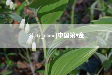 泸州中国第9金