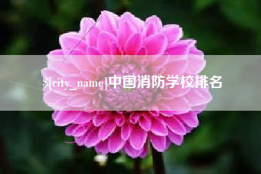 泸州中国消防学校排名