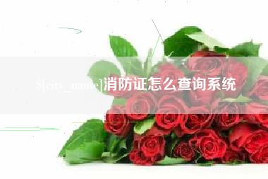 泸州消防证怎么查询系统