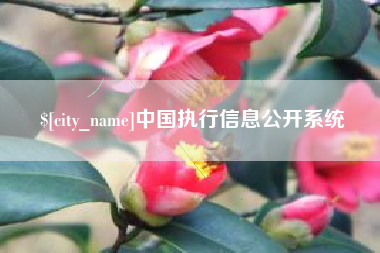 泸州中国执行信息公开系统