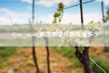 泸州消防大学分数线是多少