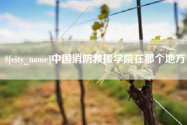 泸州中国消防救援学院在那个地方