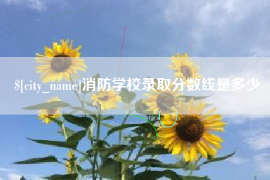 泸州消防学校录取分数线是多少