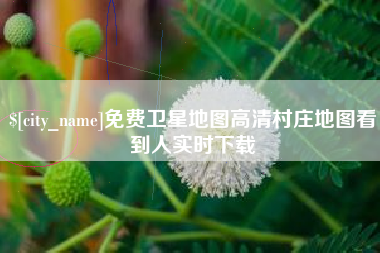 泸州免费卫星地图高清村庄地图看到人实时下载