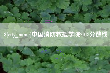泸州中国消防救援学院2018分数线