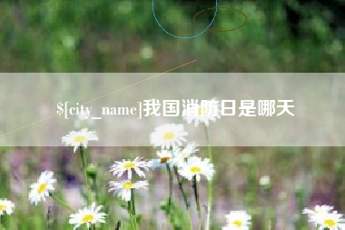 泸州我国消防日是哪天