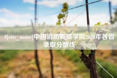 泸州中国消防救援学院2020年各省录取分数线