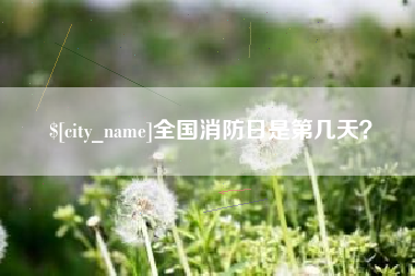 泸州全国消防日是第几天？