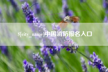 泸州中国消防报名入口