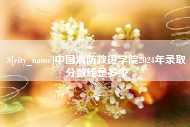泸州中国消防救援学院2024年录取分数线是多少