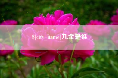 泸州九金是谁