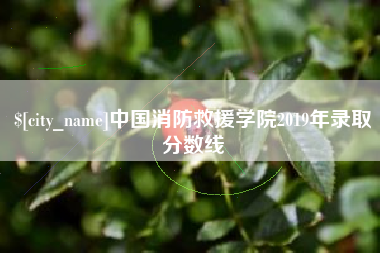 泸州中国消防救援学院2019年录取分数线