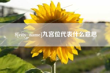 泸州九宫位代表什么意思