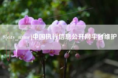 泸州中国执行信息公开网平台维护