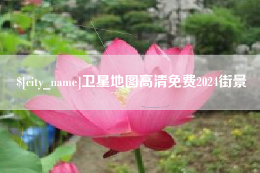 泸州卫星地图高清免费2024街景