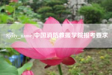 泸州中国消防救援学院报考要求