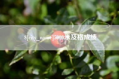 泸州5000米及格成绩