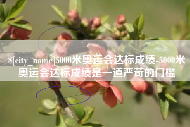 泸州5000米奥运会达标成绩-5000米奥运会达标成绩是一道严苛的门槛