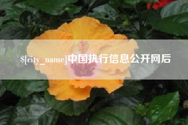泸州中国执行信息公开网后