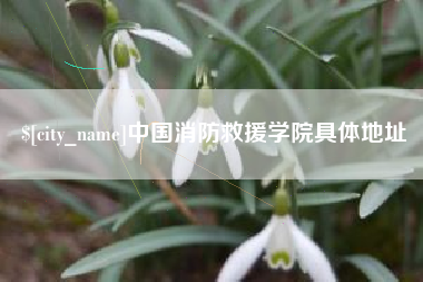 泸州中国消防救援学院具体地址