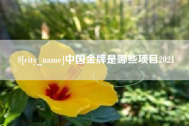泸州中国金牌是哪些项目2021