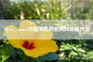 泸州中国消防网官网网址是什么