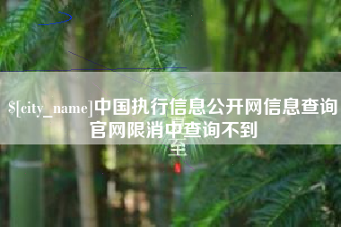泸州中国执行信息公开网信息查询官网限消中查询不到
