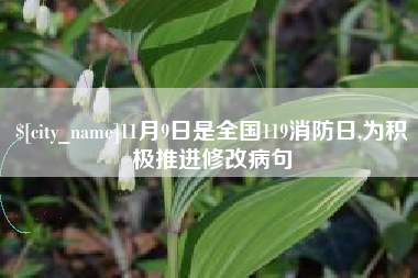 泸州11月9日是全国119消防日,为积极推进修改病句