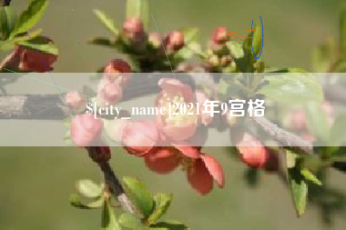 泸州2021年9宫格