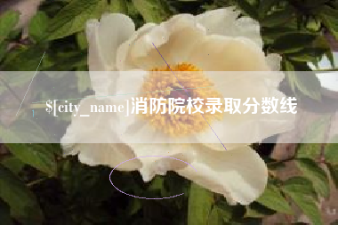 泸州消防院校录取分数线