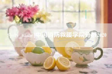 泸州中国消防救援学院分数2020