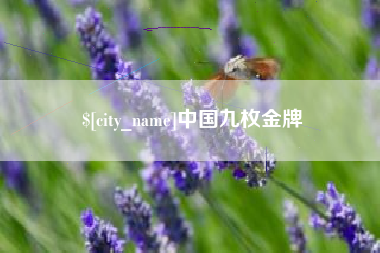 泸州中国九枚金牌