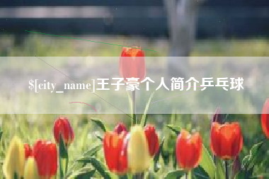 泸州王子豪个人简介乒乓球