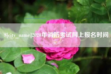 泸州2020年消防考试网上报名时间