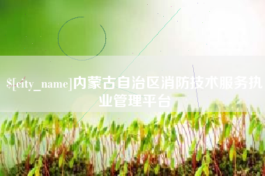 泸州内蒙古自治区消防技术服务执业管理平台