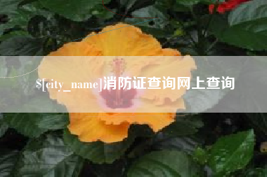 泸州消防证查询网上查询