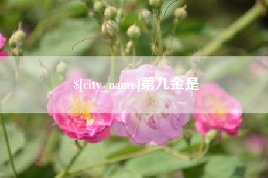 泸州第九金是