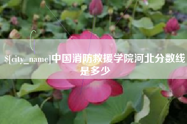 泸州中国消防救援学院河北分数线是多少