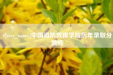 泸州中国消防救援学院历年录取分数线
